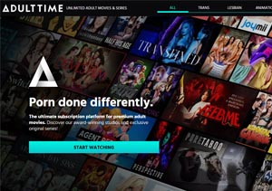 adult time is the netflix of porn pay sites